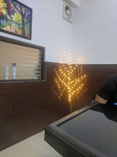 Dr. R. K. Pandey